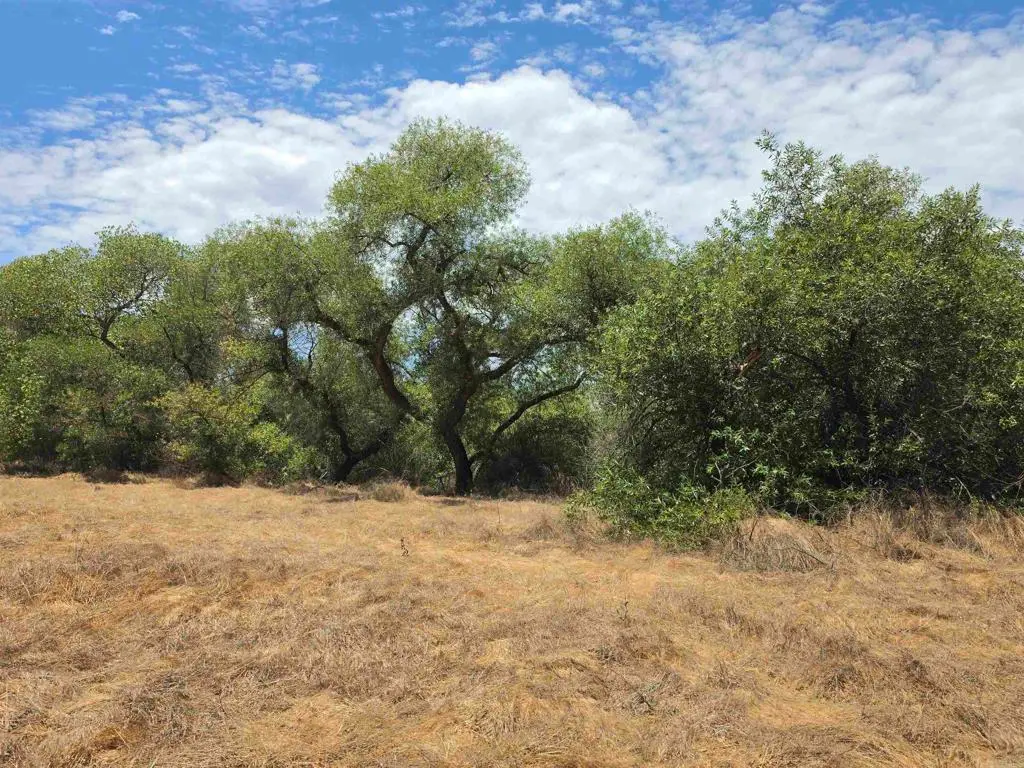 1.41 acres Durgin Street, Ramona, CA — listing photo 1