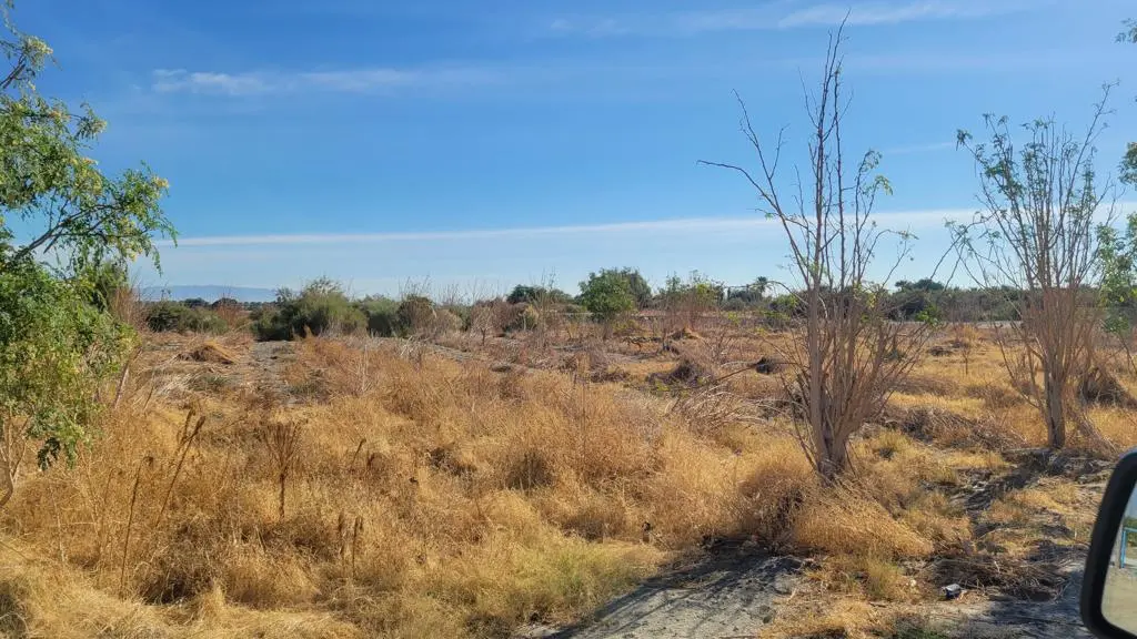 89635 81st Avenue, Thermal, CA — listing photo 1
