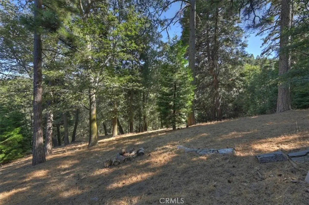 0 Pine, Cedarpines Park, CA — listing photo 1