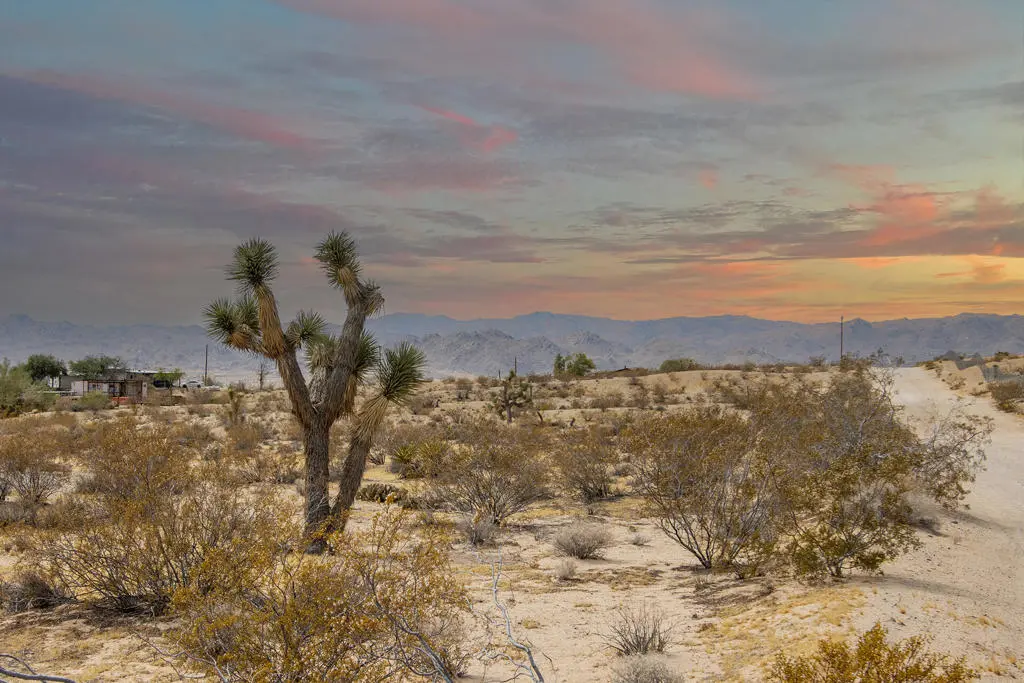 62121 Aberdeen Drive, Joshua Tree, CA — listing photo 1