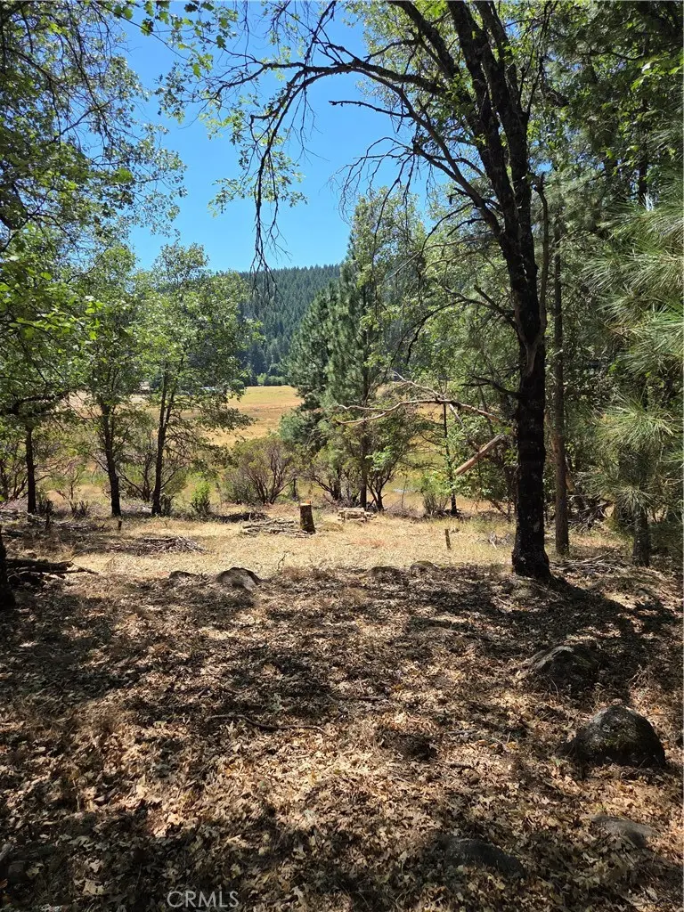 9655 Mountain Meadow, Kelseyville, CA — listing photo 1