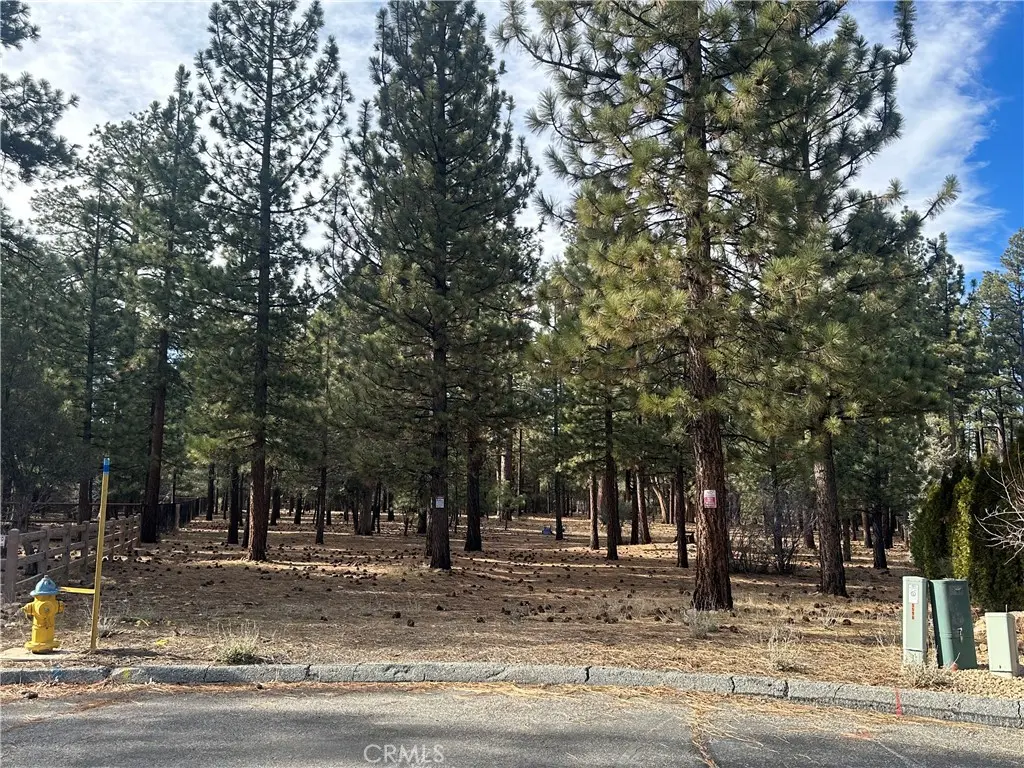 1801 Shady, Big Bear City, CA — listing photo 1