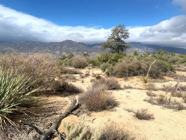 368 Palm Canyon Drive, Mountain Center, CA — listing photo 1