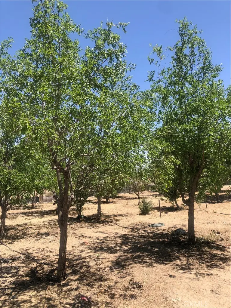 32726 Agate Road, Lucerne Valley, CA — listing photo 1