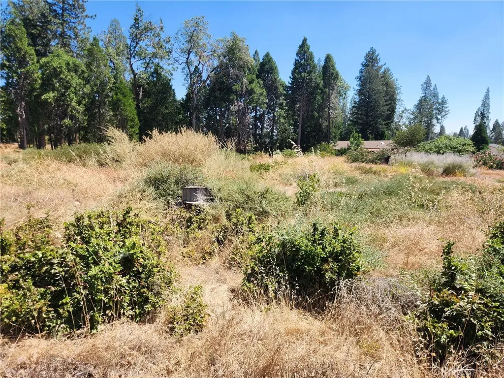 13744 W Park, Magalia, CA — listing photo 1