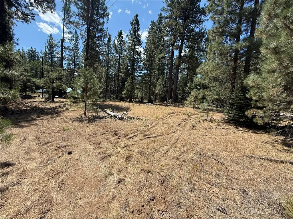 0 Sugar Loaf Lane, Old Station, CA — listing photo 1