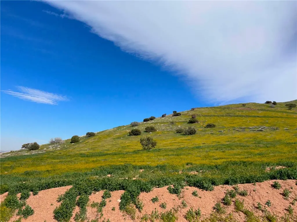 0 Oreo Lane, Acton, CA — listing photo 1
