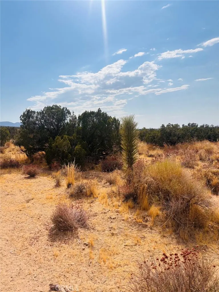 0 Vac/Vic, Llano, CA — listing photo 1