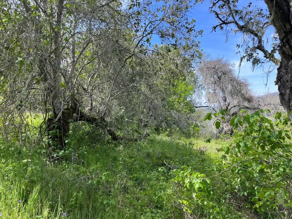 33446 E Carmel Valley Road, Carmel Valley, CA — listing photo 1
