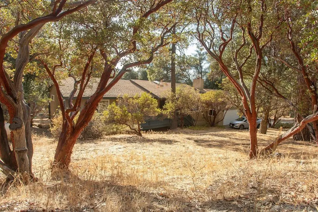 8076 Pine Blvd, Pine Valley, CA — listing photo 1