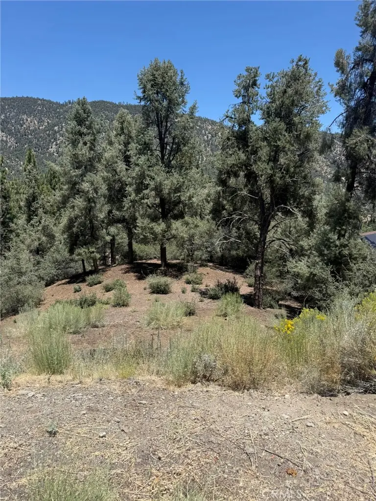 2424 Cedarwood, Pine Mountain Club, CA — listing photo 1