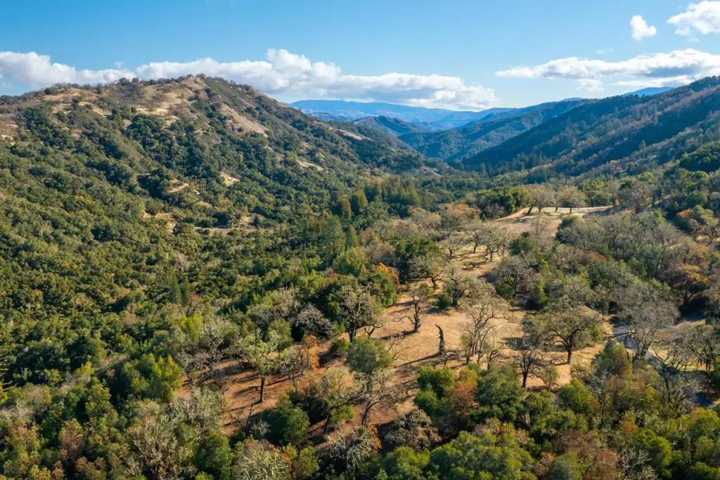 37 Arroyo Sequoia (Lot 113), Carmel, CA — listing photo 1