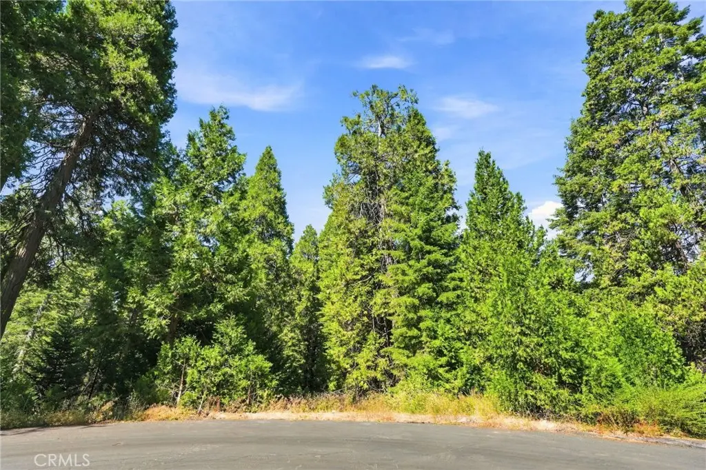 39730 Fox Glove Lane, Shaver Lake, CA — listing photo 1