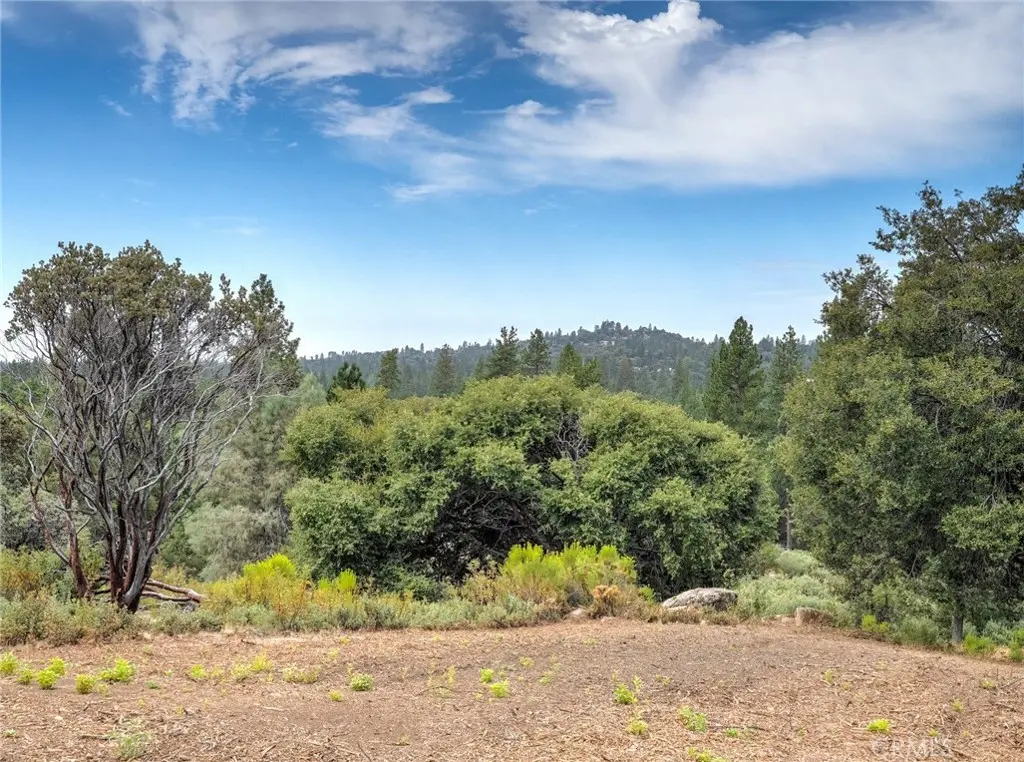1539001 Vista Lago, Mariposa, CA — listing photo 1