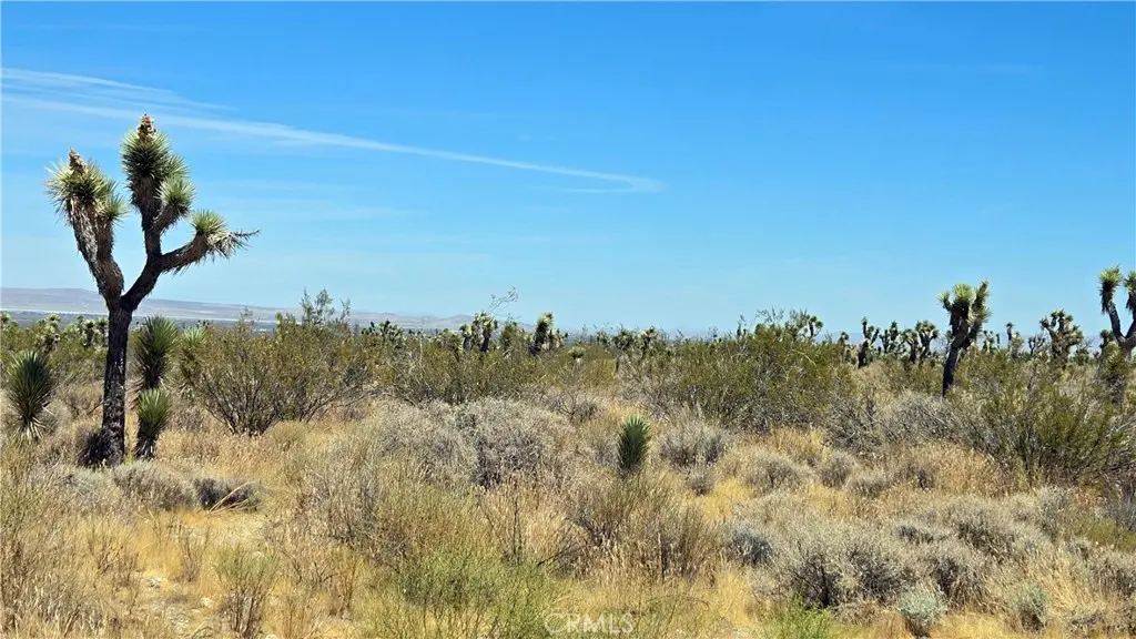 0 Vicinity Avenue X4 & 231st E, Llano, CA — listing photo 1