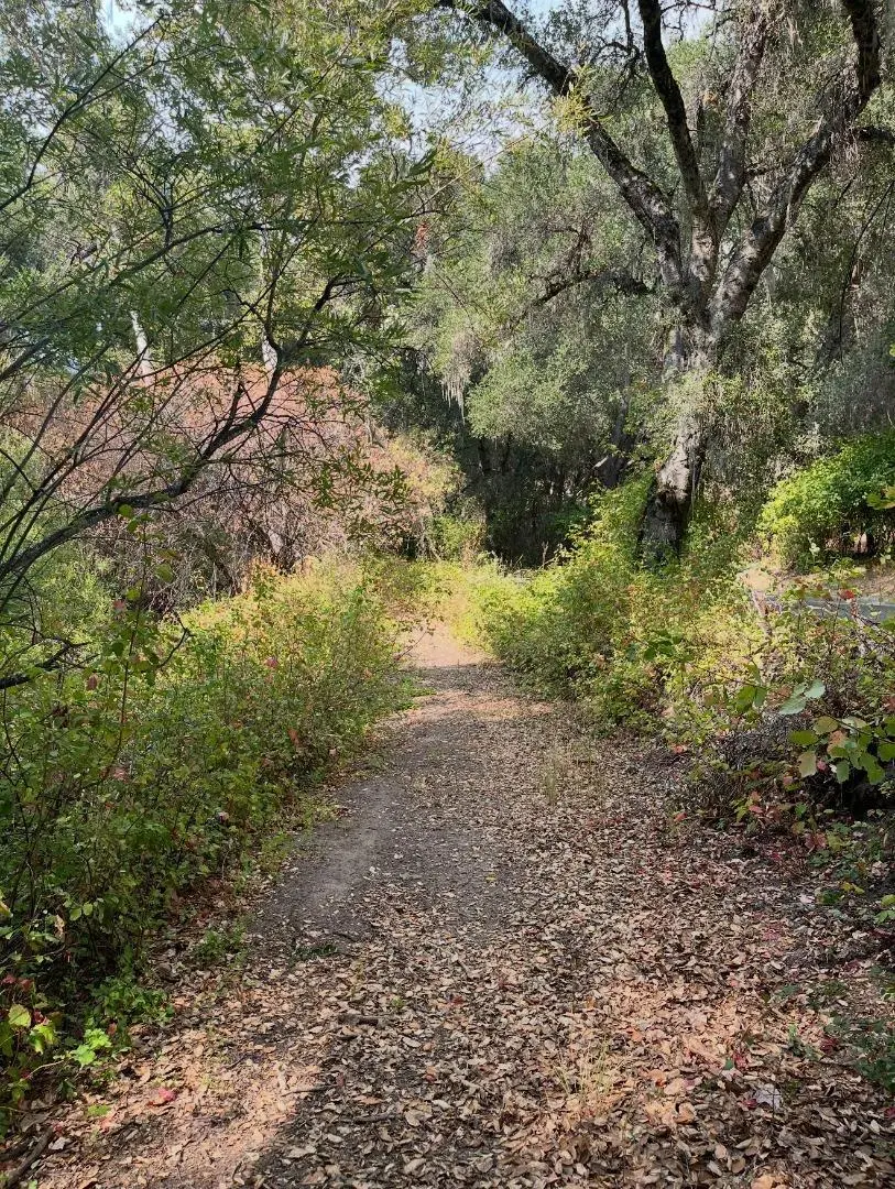 68 Asoleado Drive, Carmel Valley, CA — listing photo 1