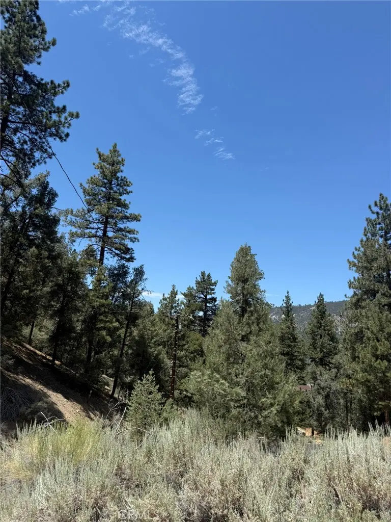 1912 Symonds, Pine Mountain Club, CA — listing photo 1
