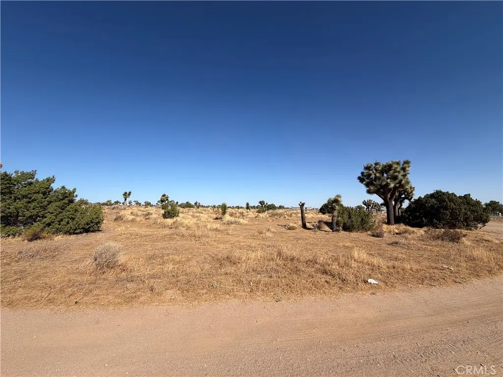 0 Vinton, Phelan, CA — listing photo 1