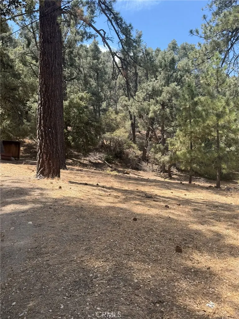 2019 Freeman, Pine Mountain Club, CA — listing photo 1