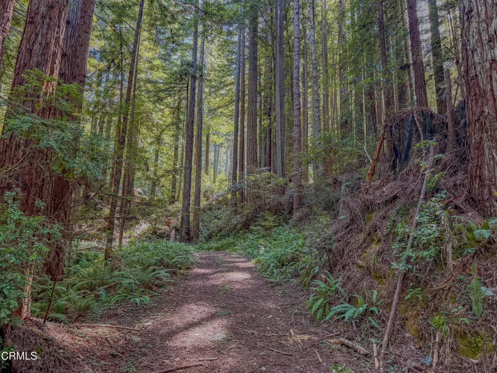 0 California 20, Fort Bragg, CA — listing photo 1
