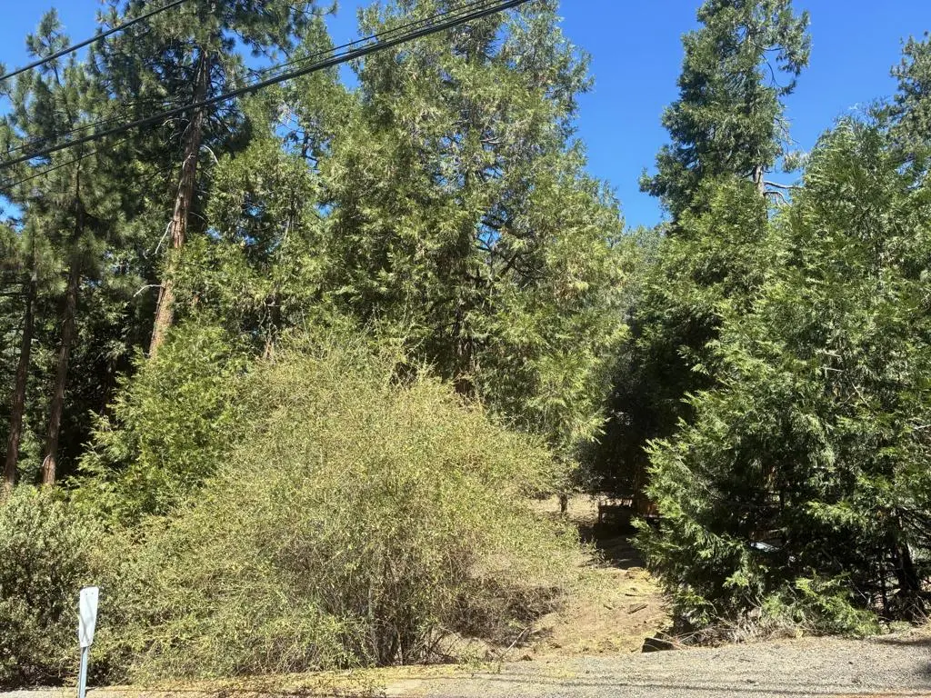 0 Acorn Lane, Idyllwild, CA — listing photo 1