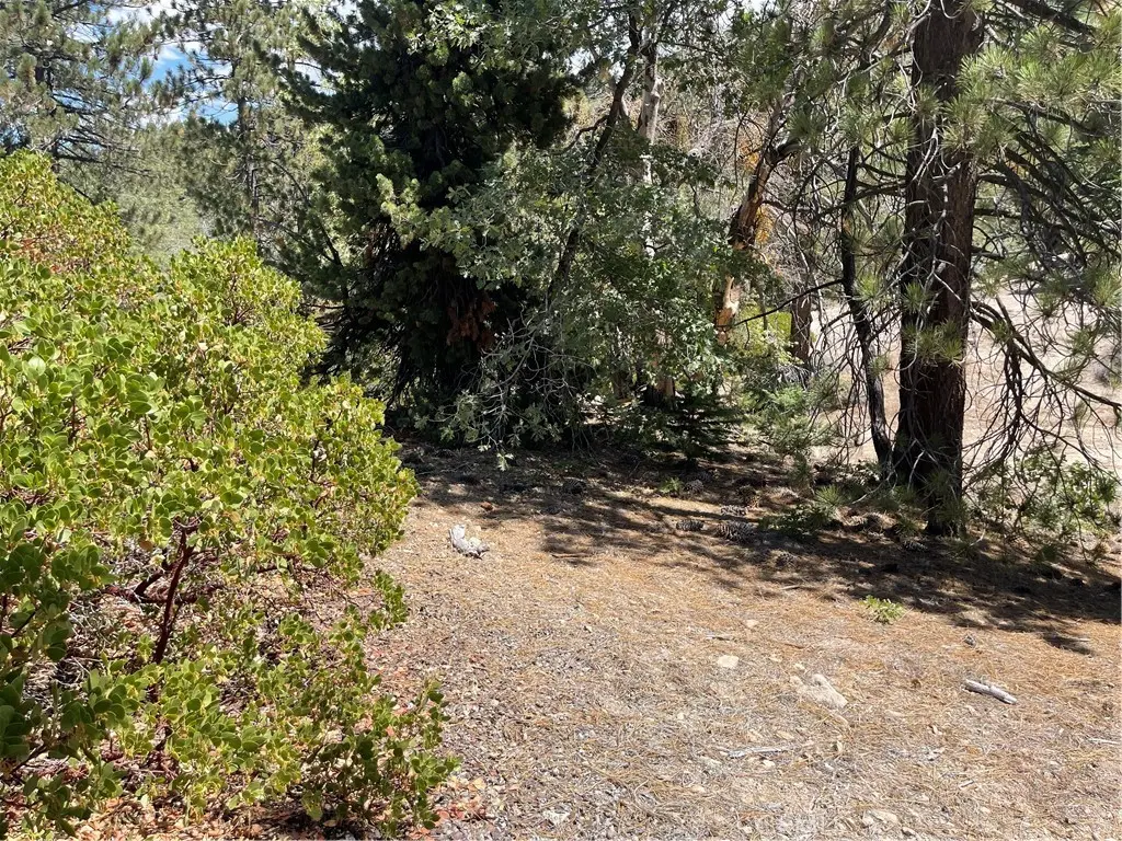 0 Arrowbear, Running Springs, CA — listing photo 1