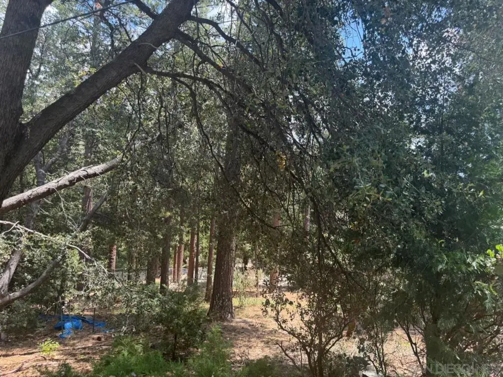 0 Big Pine, Idyllwild, CA — listing photo 1