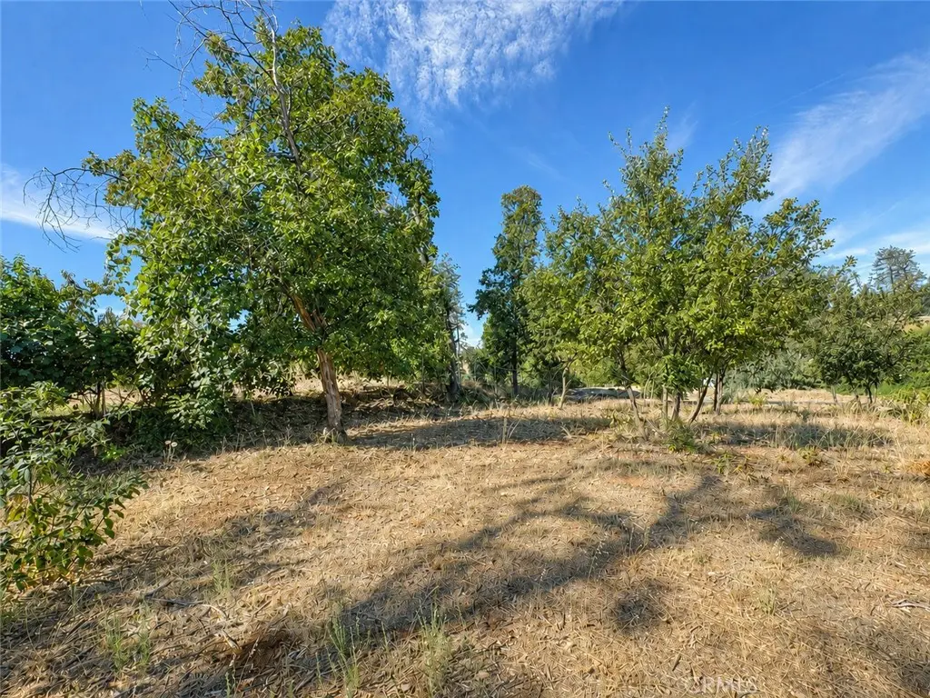 5465 Foster, Paradise, CA — listing photo 1