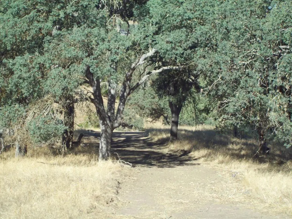 20077 Panoche, Tres Pinos, CA — listing photo 1