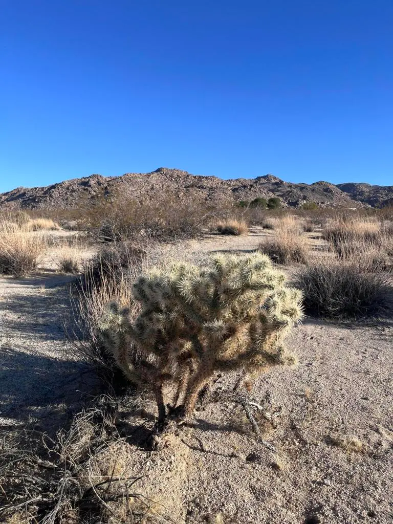 0 Lee Rd, 29 Palms, CA — listing photo 1