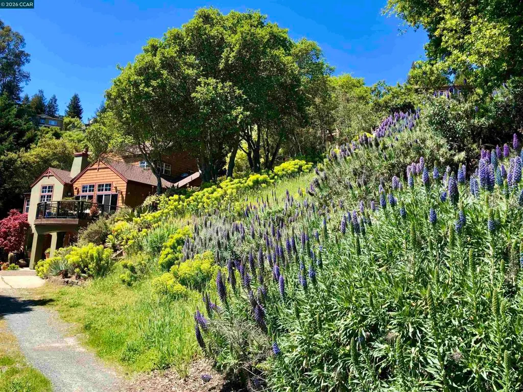 7033 Buckingham Blvd, Berkeley, CA — listing photo 1