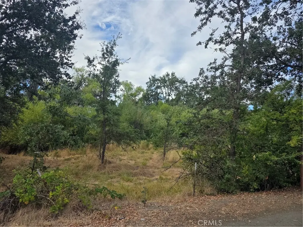 1217 Berry, Lakeport, CA — listing photo 1