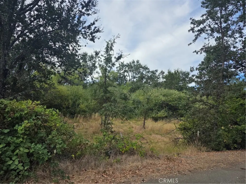 1233 Berry, Lakeport, CA — listing photo 1
