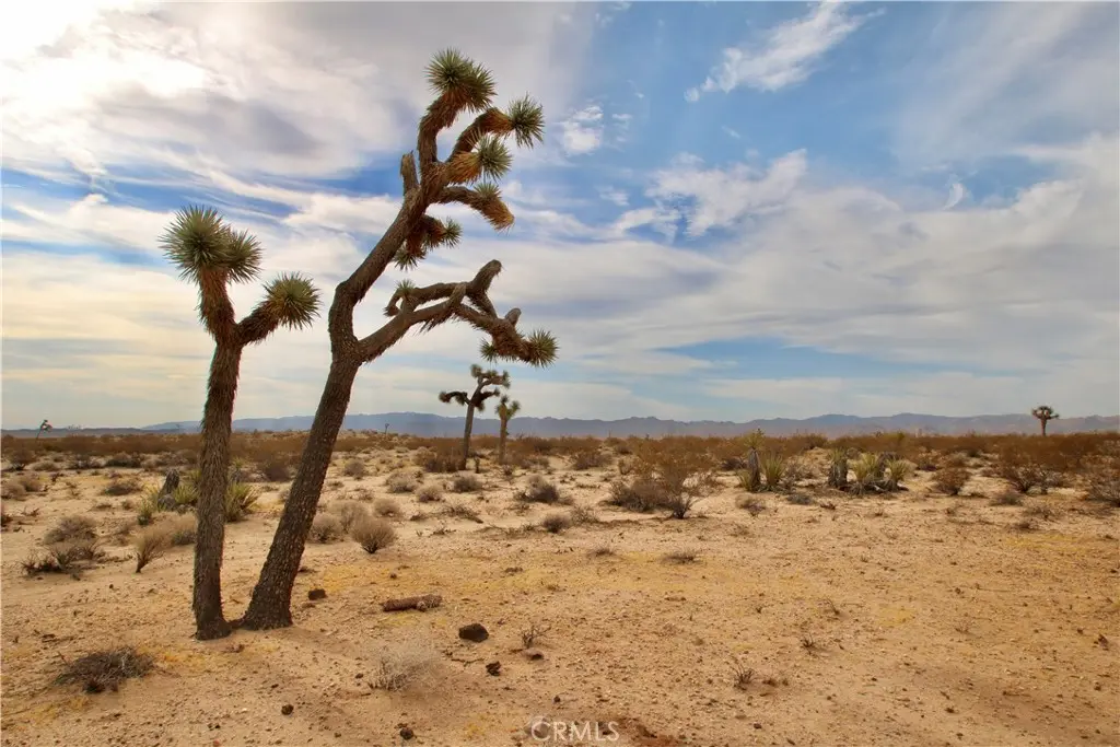 0 Cielito Drive, Joshua Tree, CA — listing photo 1