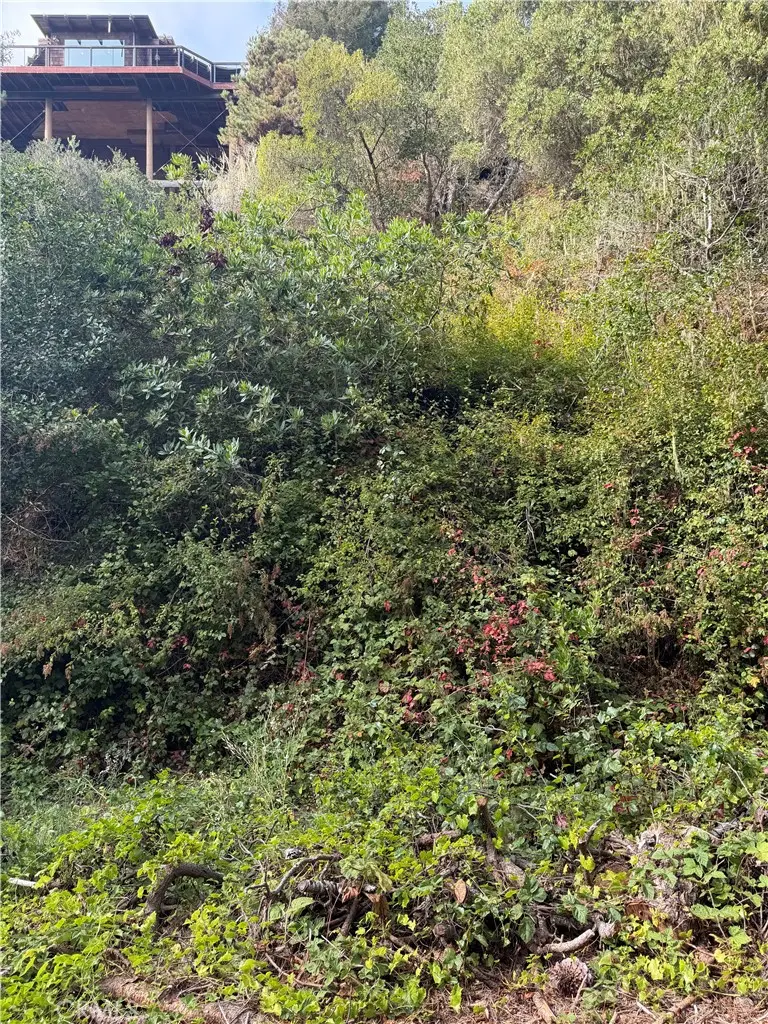 0 Sheffield, Cambria, CA — listing photo 1
