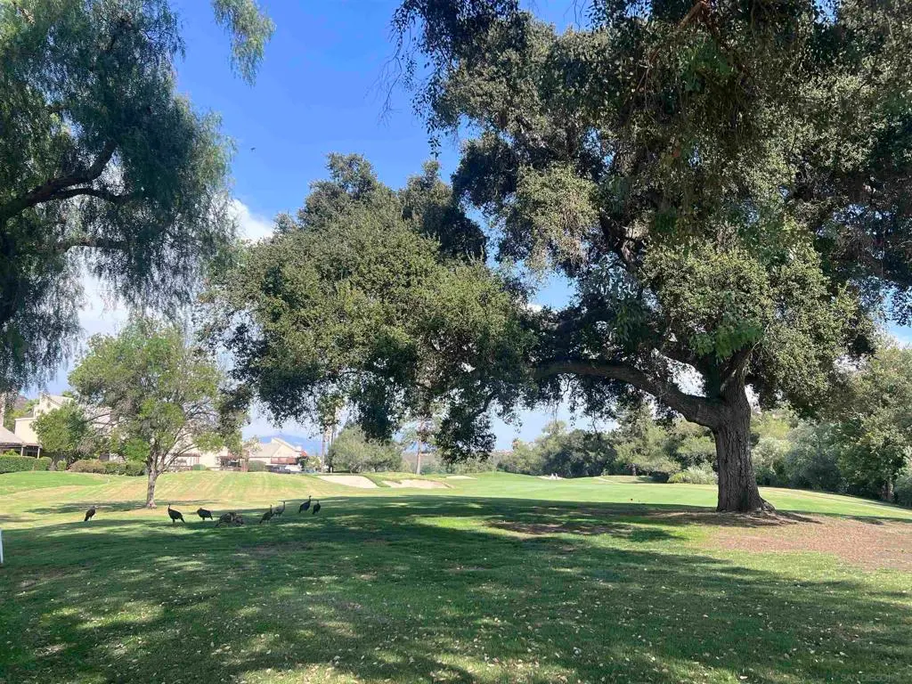 23621 Country Villa Rd, Ramona, CA — listing photo 1