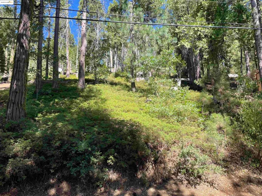 25476 Rebekah Rd, Long Barn, CA — listing photo 1