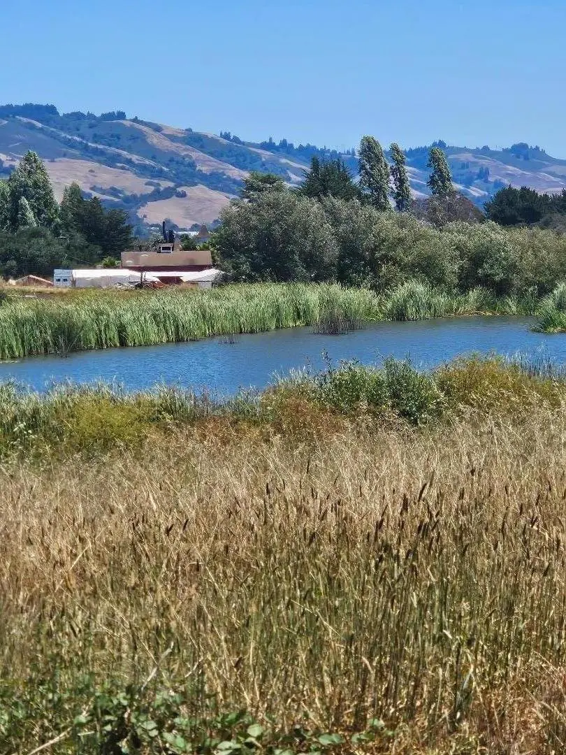 Address available on request, Watsonville, CA — listing photo 1