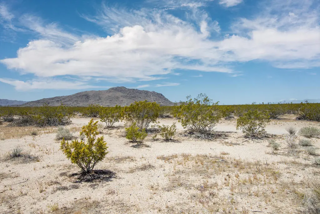 3375 Sunset Road, Joshua Tree, CA — listing photo 1