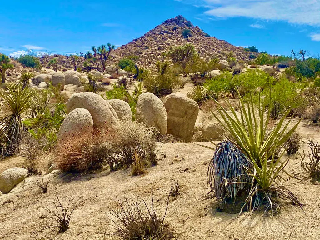 104 Bandera Road, Yucca Valley, CA — listing photo 1