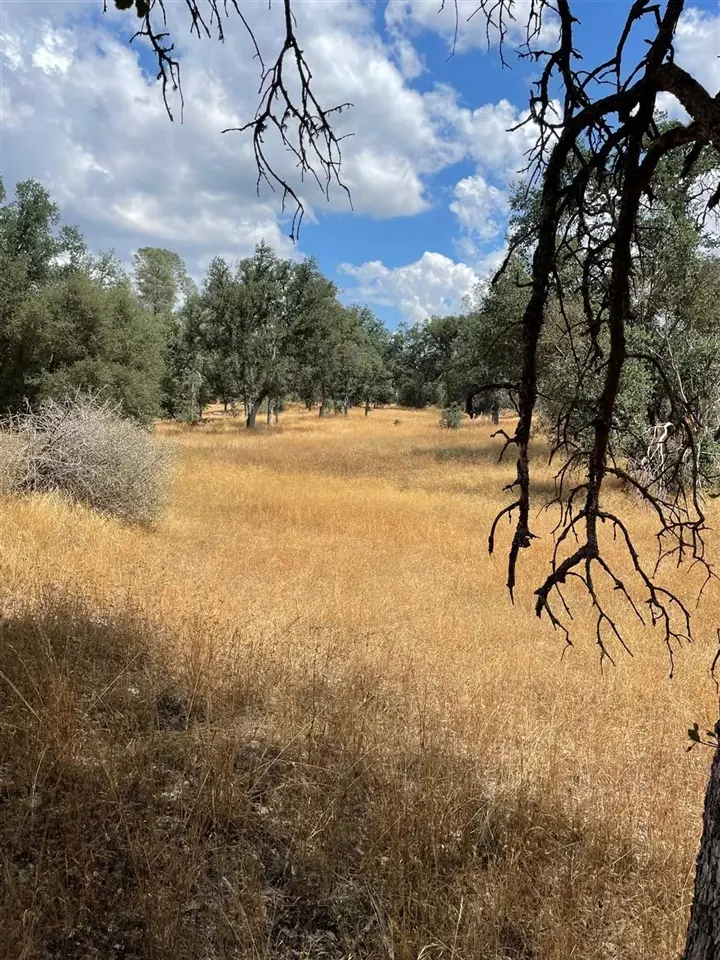 Bull Creek Rd 2S05, Coulterville, CA — listing photo 1
