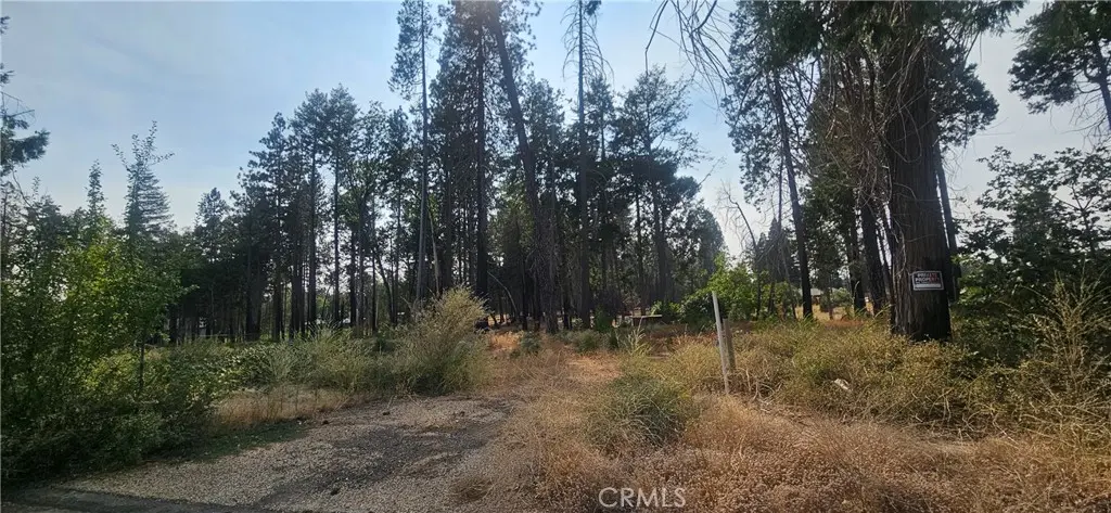 13901 W Park, Magalia, CA — listing photo 1