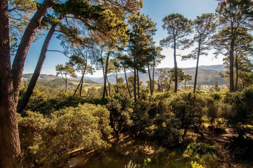 154 DEL MESA CARMEL, Carmel, CA — listing photo 1