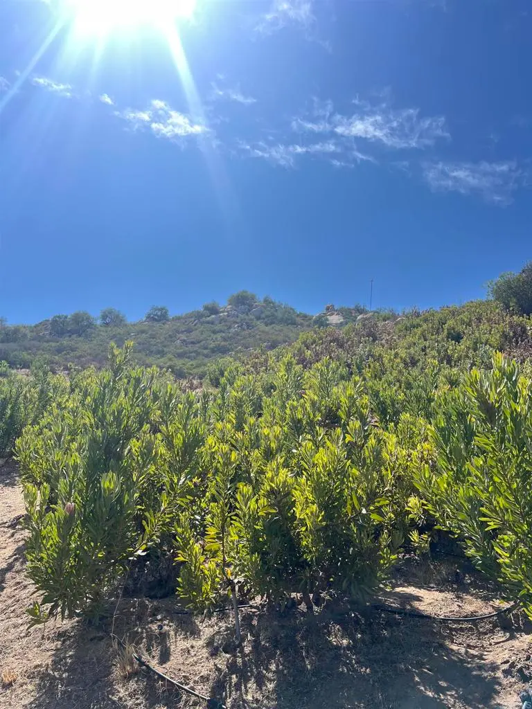 26336 N Lake Wohlford Road, Valley Center, CA — listing photo 1