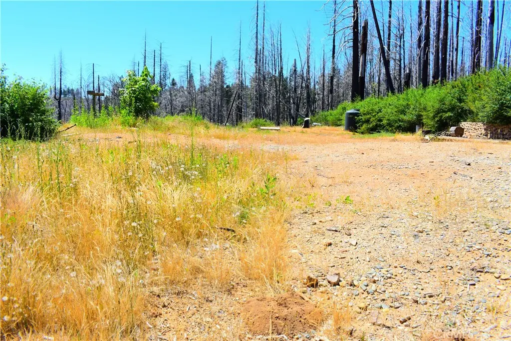 461 Milsap Bar, Berry Creek, CA — listing photo 1