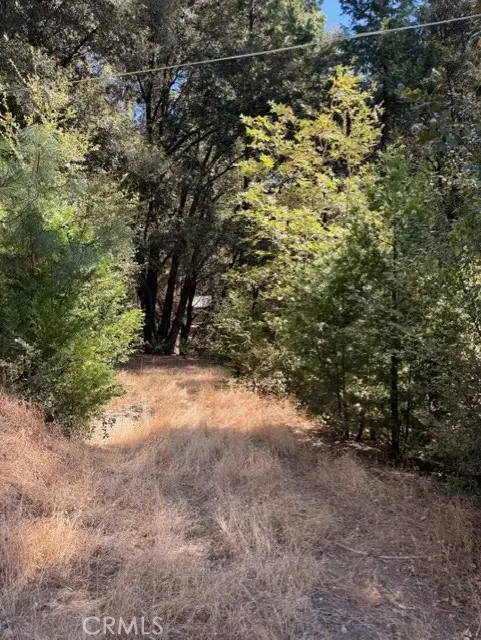 0 S Cedar Ridge, Oakhurst, CA — listing photo 1