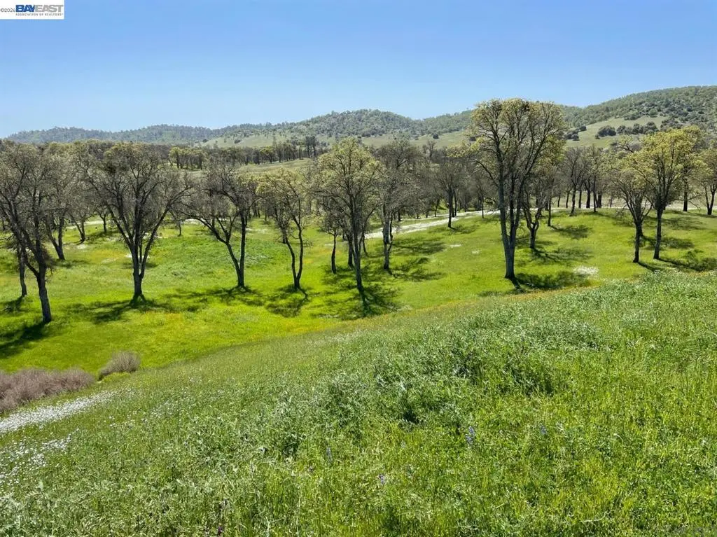345 Hawkridge Road, Copperopolis, CA — listing photo 1