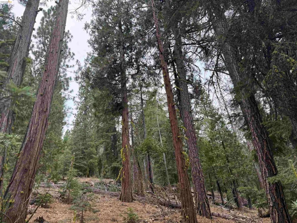 00000 Hillcrest, Alturas, CA — listing photo 1