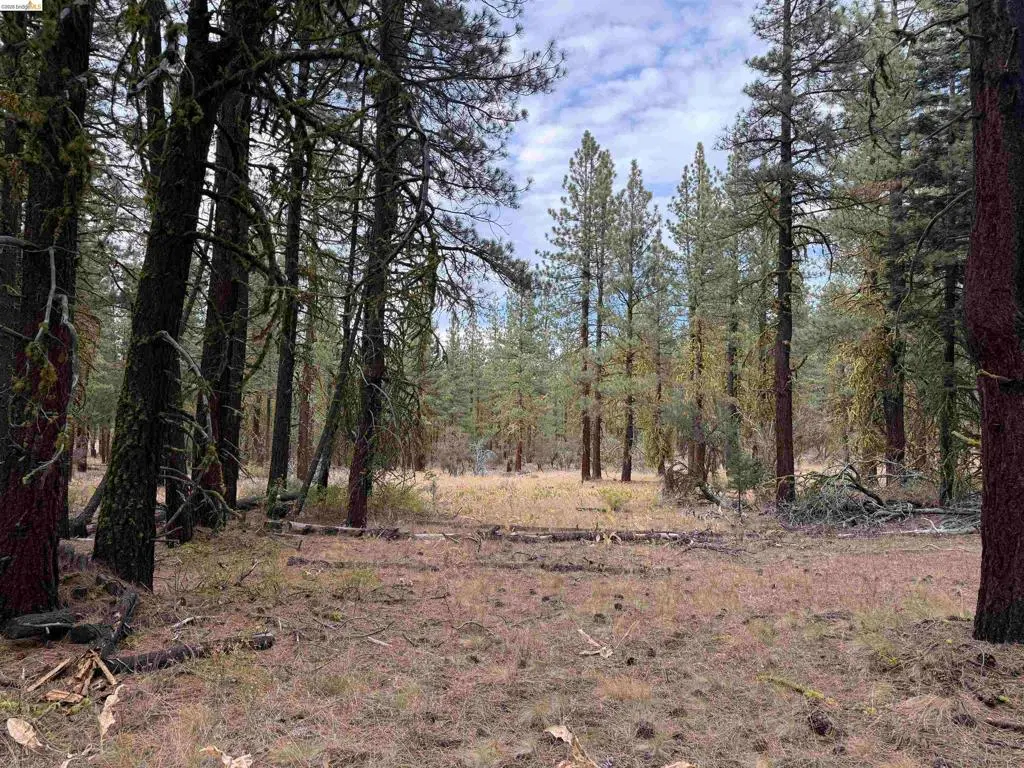 00000 West Wing, Susanville, CA — listing photo 1
