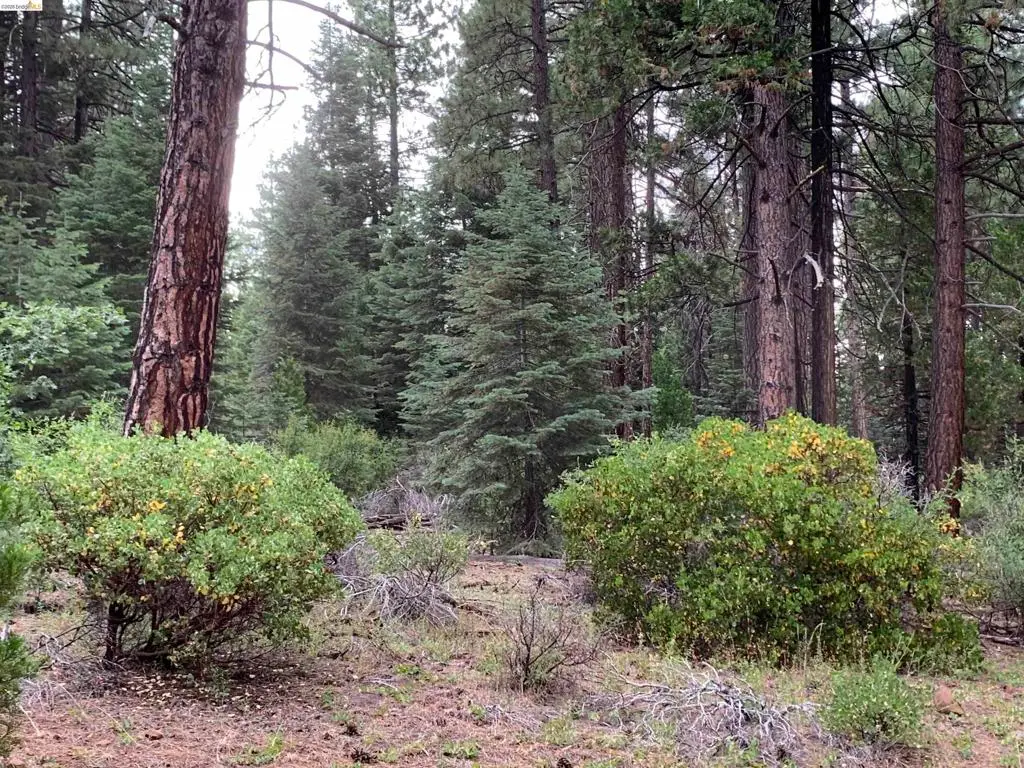 00000 Old Toll Rd, CA — listing photo 1